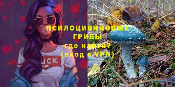 соль ск Володарск